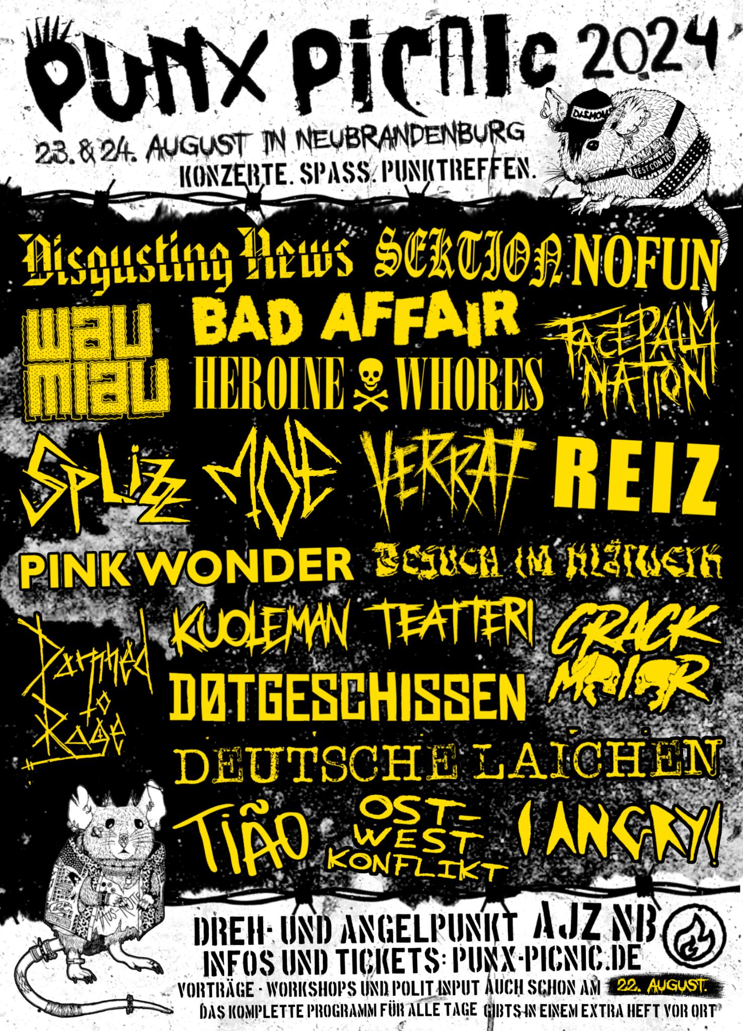 PUNX PICNIC 2024 in Neubrandenburg