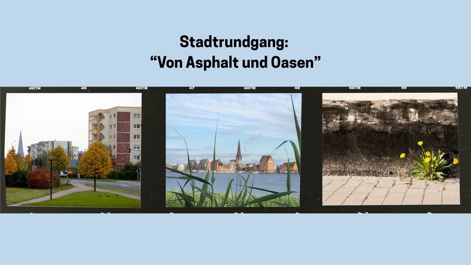 Von Asphalt und Oasen: Stadtspaziergang in Rostock