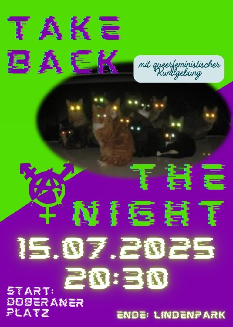 Ein Sharepic für eine Take Back the Night Demo in Rostock am 15.07.25 um 20 :30 Uhr Start Doberaner Platz Ende: Lindenpark In der Mitte ist ein Bild zu sehen, darauf sind Katzen zu sehen deren Augen in der Dunkelheit leuchten.