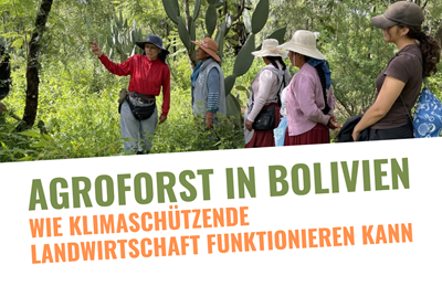 Agroforst in Bolivien – Wie klimaschützende Landwirtschaft funktionieren kann